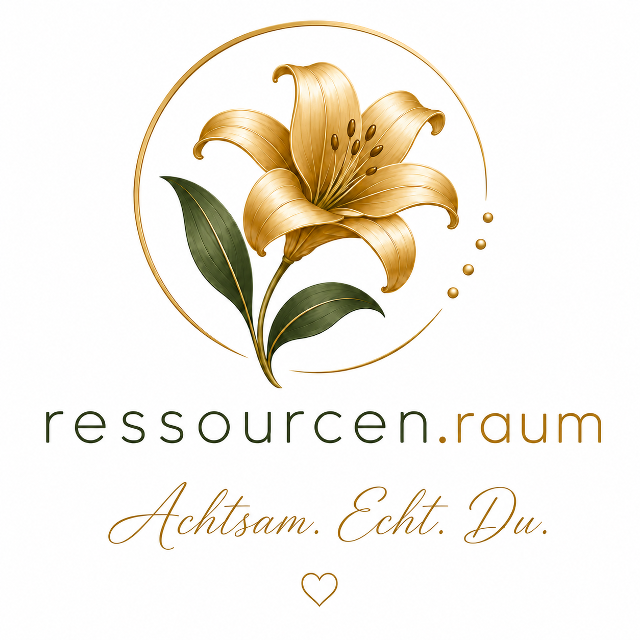 Logo ressourcen.raum